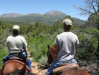 Horse Trail to Abajo Mountain