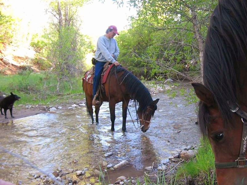 A man on horseback with his horse drinking from a stream