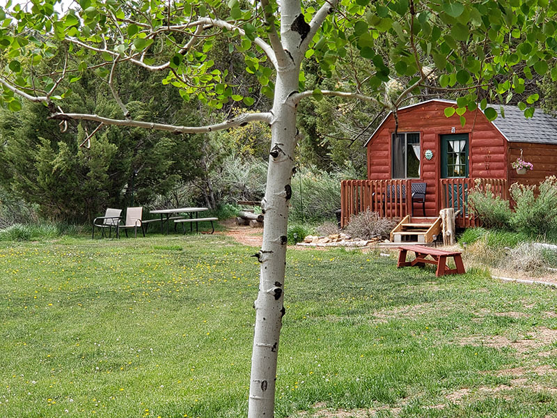 A red cabin with a birch tree