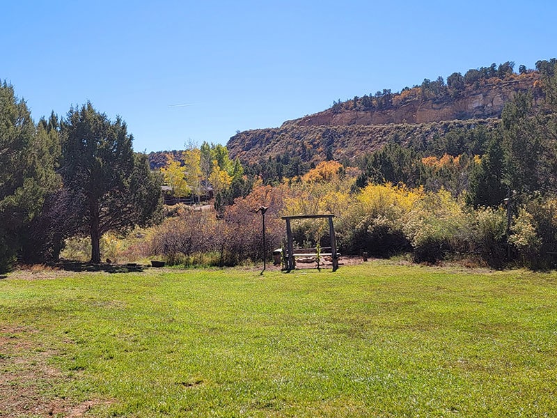 A view of the backyard with a bench for seating